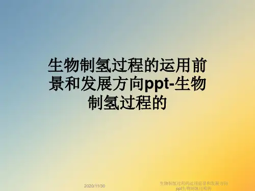 生物制氢过程的运用前景和发展方向ppt生物制氢过程的