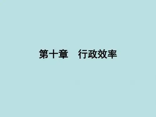 最新行政管理学精品课件第十章  行政效率