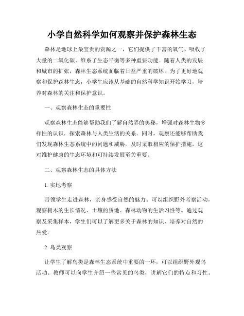 小学自然科学如何观察并保护森林生态