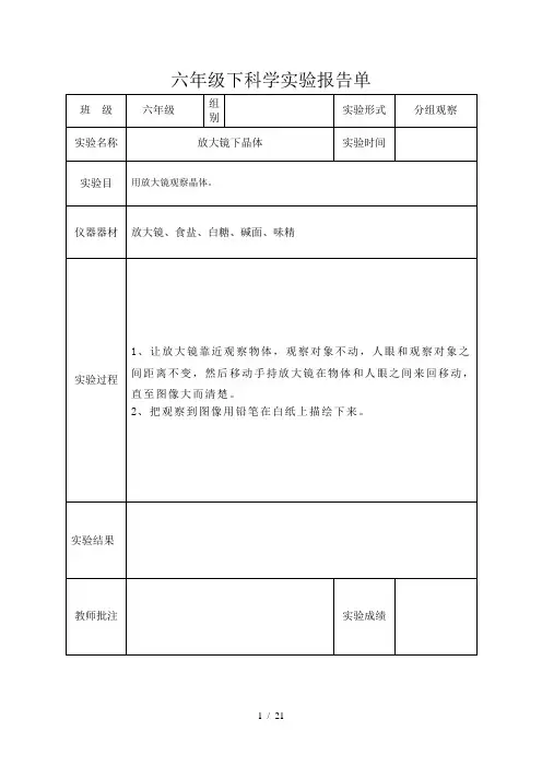 六年级科学下册实验报告单新版