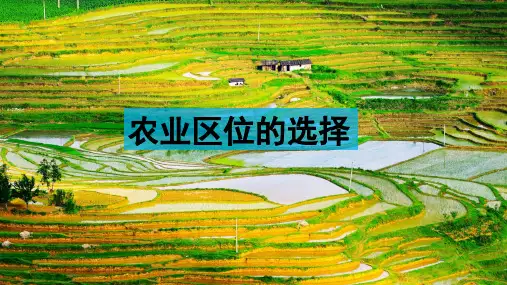 高三地理一轮复习-农业区位选PPT