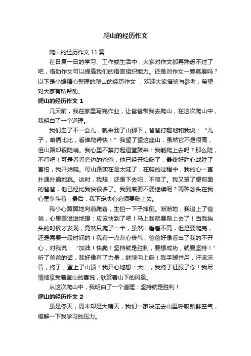 爬山的经历作文11篇