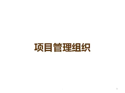 项目管理组织PPT课件