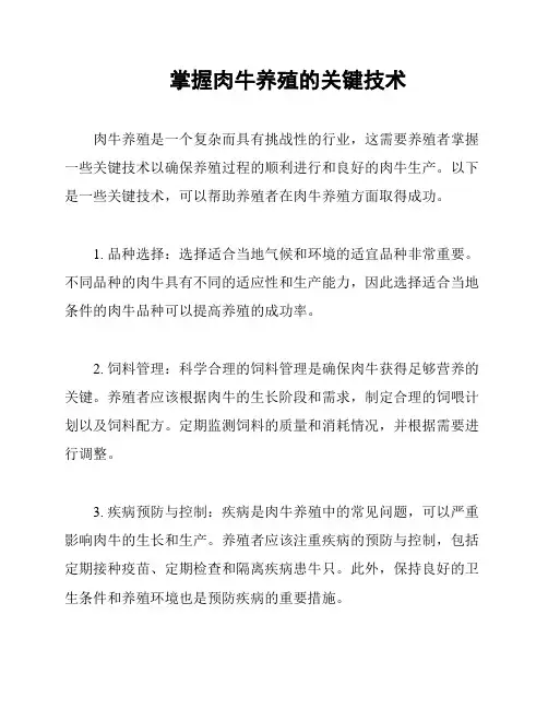 掌握肉牛养殖的关键技术