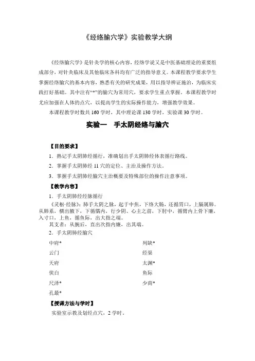 经络腧穴学实验教学大纲doc