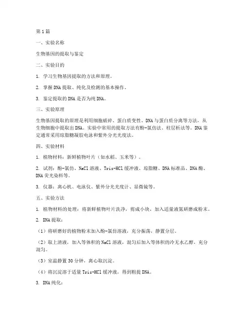 生物基因的实验报告(3篇)