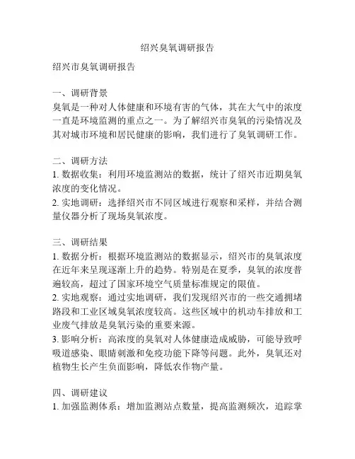 绍兴臭氧调研报告