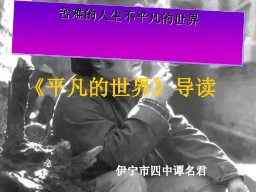 苦难的人生 不平凡的世界——平凡的世界导读PPT课件 (人教课标版)