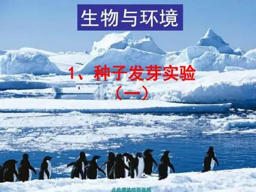五年级科学上册1.1种子发芽实验(一)优秀PPT课件1教科版