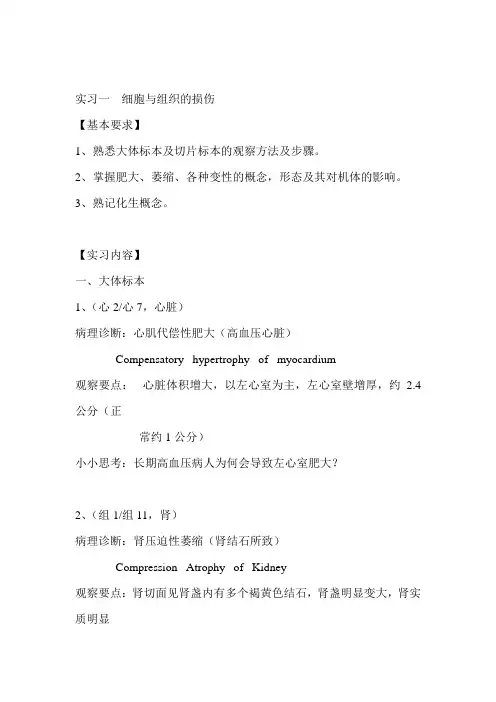 《病理学》实习指导手册