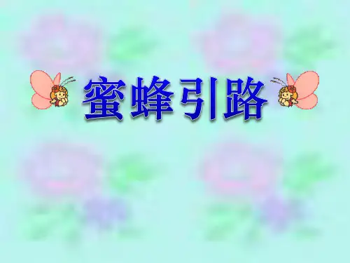 《蜜蜂引路》精品-二年级下册语文PPT课件
