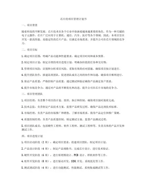 芯片的项目管理计划书
