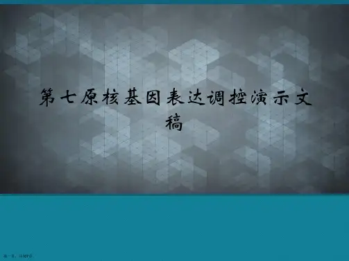 第七原核基因表达调控演示文稿