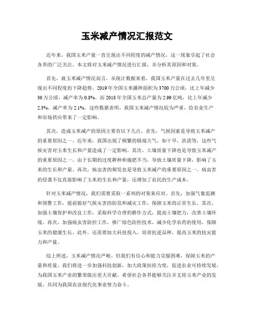 玉米减产情况汇报范文