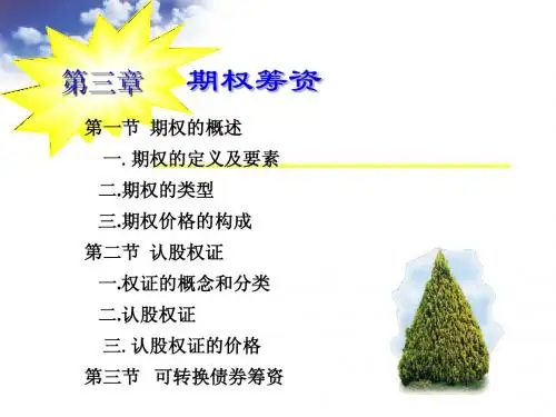 第三章期权
