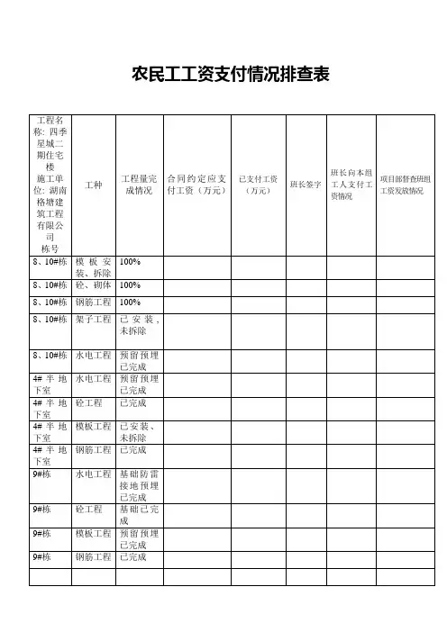 农民工工资支付情况排查表