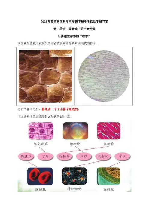 2022年新苏教版科学五年级下册学生活动手册答案