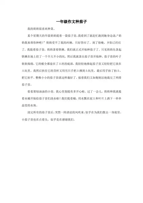 一年级作文种茄子