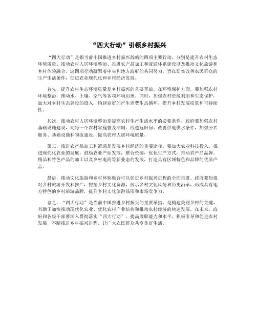 “四大行动”引领乡村振兴