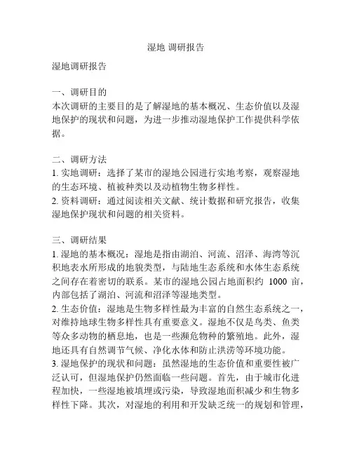 湿地 调研报告