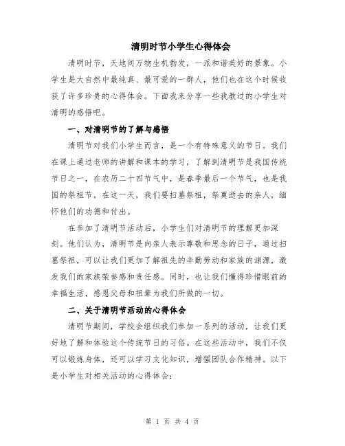 清明时节小学生心得体会