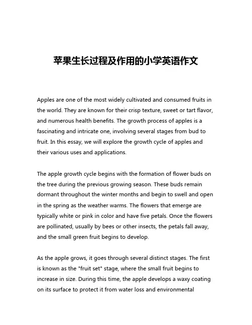 苹果生长过程及作用的小学英语作文