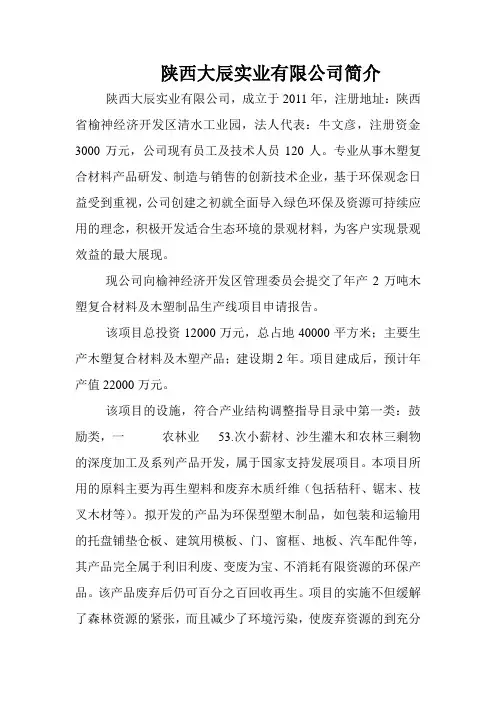 陕西大辰实业有限公司简介