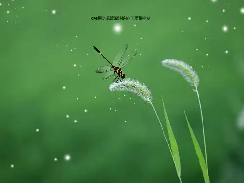 CFG振动沉管灌注桩施工质量控制.ppt