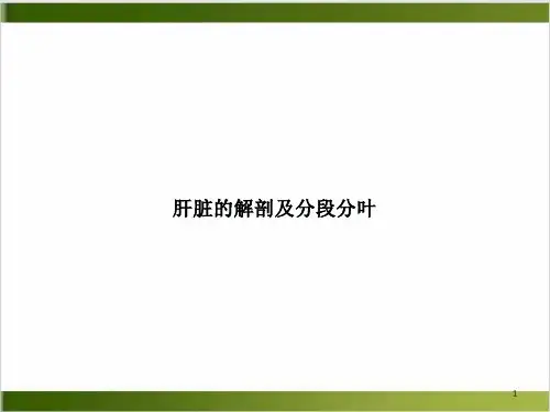 肝脏的解剖及分段分叶讲课ppt课件