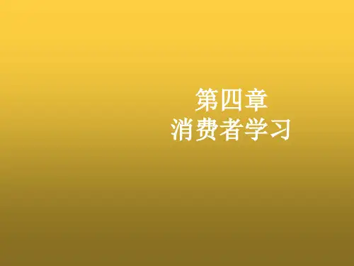 消费者行为学第四章 消费者学习