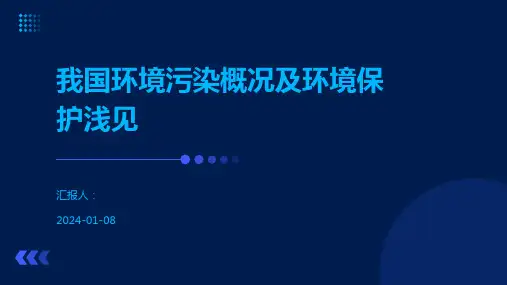 我国环境污染概况及环境保护浅见