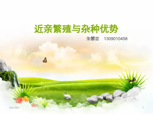 近亲繁殖与杂种优势