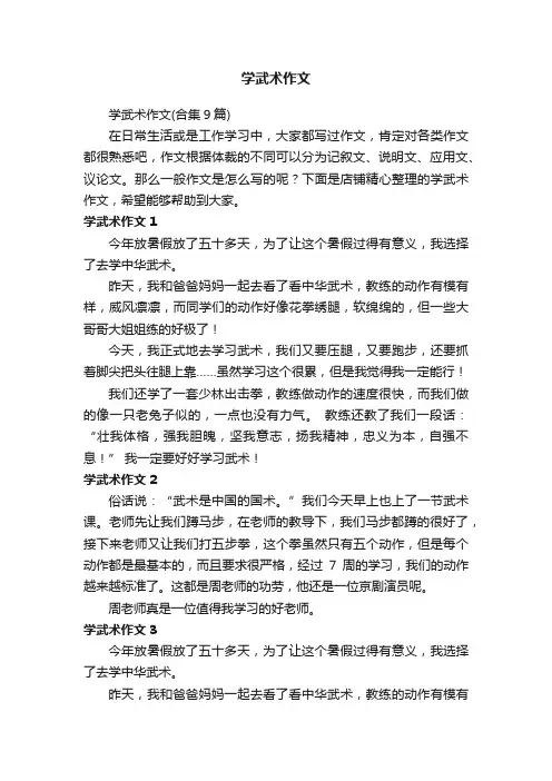 学武术作文