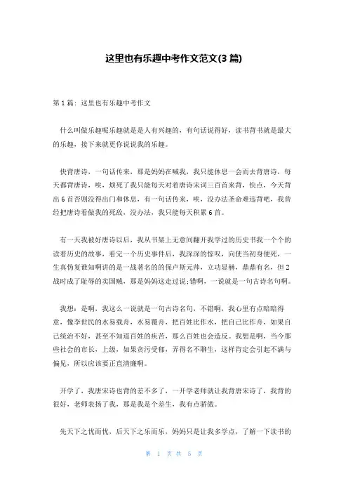 这里也有乐趣中考作文范文(3篇)