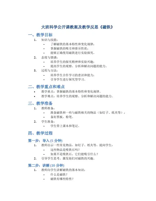 大班科学公开课教案及教学反思《磁铁》