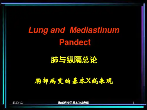 胸部病变的基本X线表现