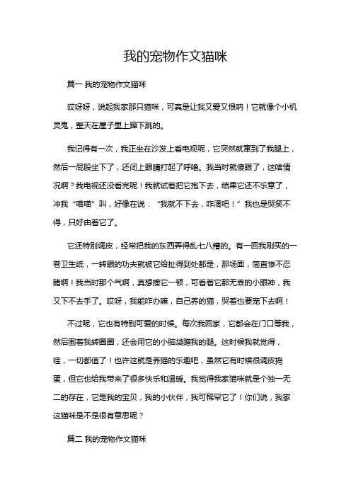 我的宠物作文猫咪