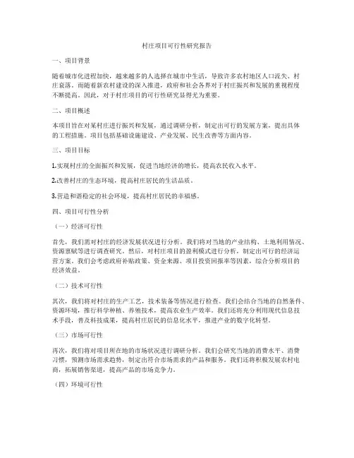 村庄项目可行性研究报告