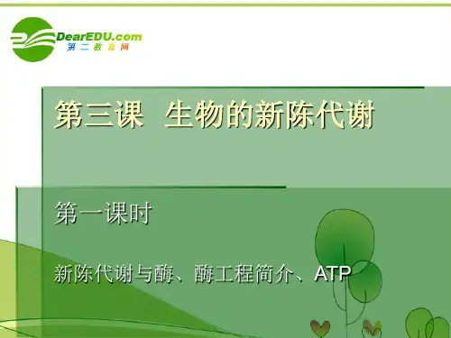 高中生物 3.1新陈代谢与酶、酶工程简介、ATP课件 