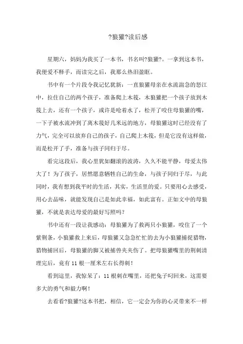 《狼獾》读后感精选