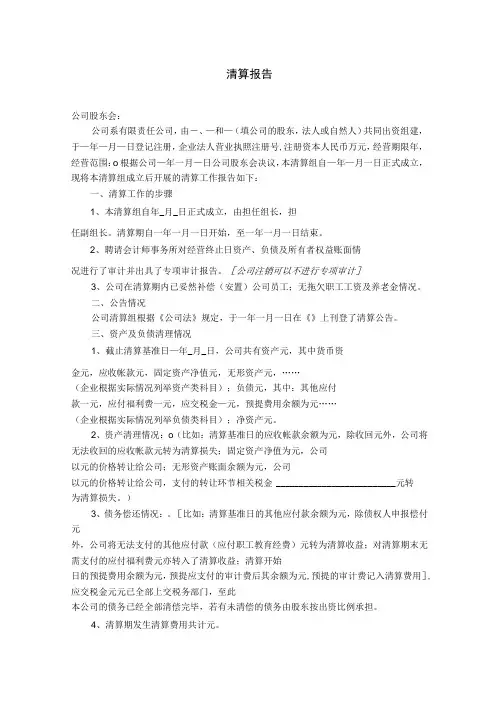 公司清算报告模板(多套)