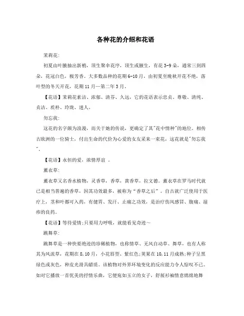 各种花的介绍和花语