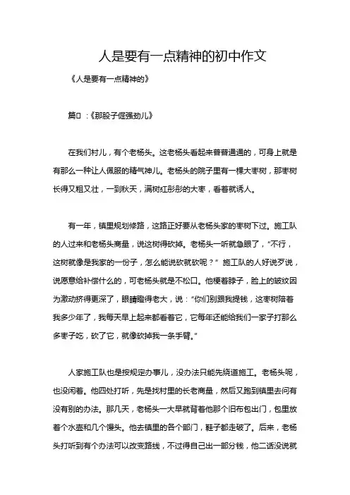 人是要有一点精神的初中作文