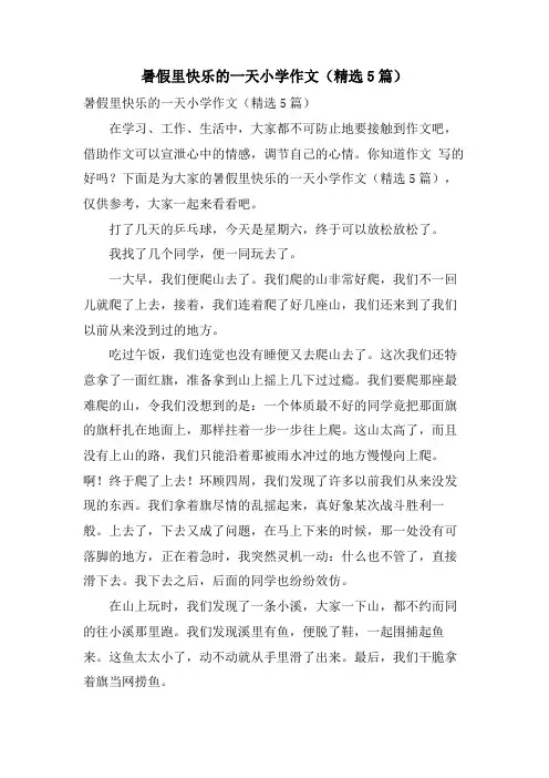 暑假里快乐的一天小学作文(5篇)