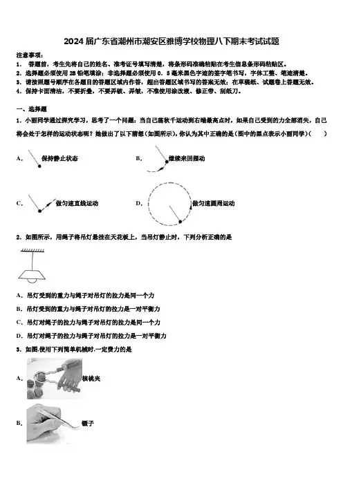 2024届广东省潮州市潮安区雅博学校物理八下期末考试试题及答案解析
