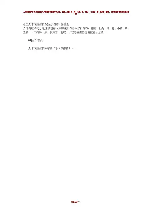 最全人体内脏结构图(医学图谱)_完整版36876