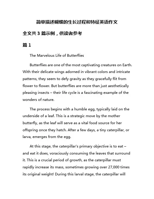 简单描述蝴蝶的生长过程和特征英语作文