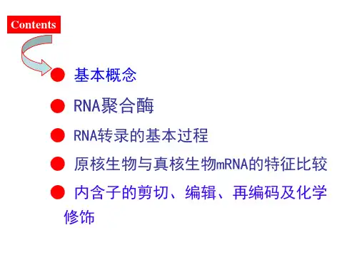 第六章 生物信息的传递(上)——转录2 分子生物学课件