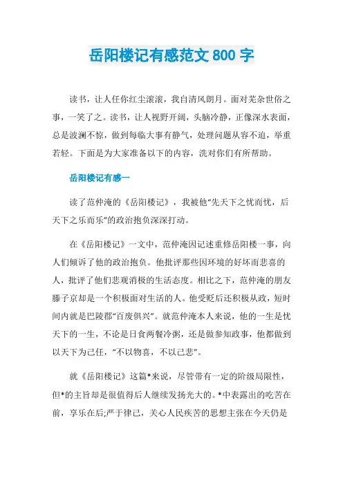 岳阳楼记有感范文800字
