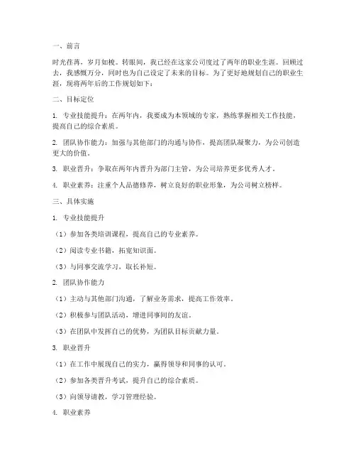 两年以后工作规划